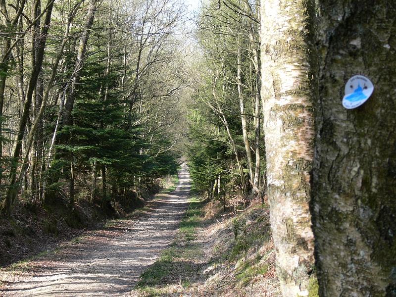 Mont Saint Michel 2010 - 067.jpg